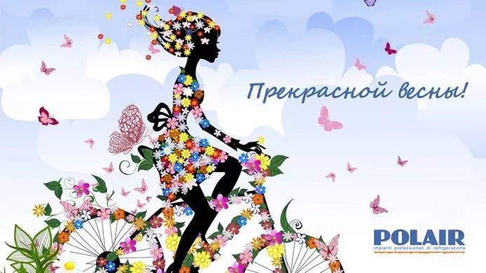 Милые Дамы! 